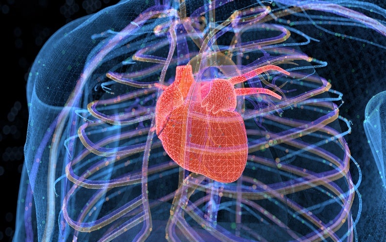 Extraordinary Temperatures Can Threaten Coronary heart Health and fitness
