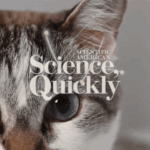 AI Can Now Read Your Cat’s Pain
