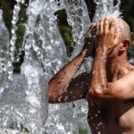 Hottest Survivable Temperatures Are Lower Than Predicted