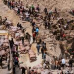 Attempts to Gradual Local weather Transform Could Inadvertently Build Humanitarian Crises