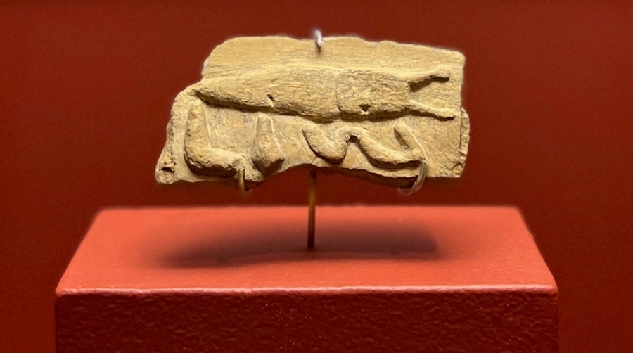 5 of the Greatest Natural History Hoaxes of All Time
