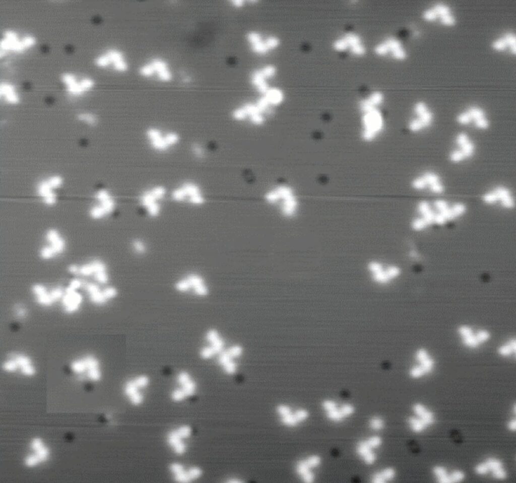 This Molecule Is a Nanoscale Bulldozer
