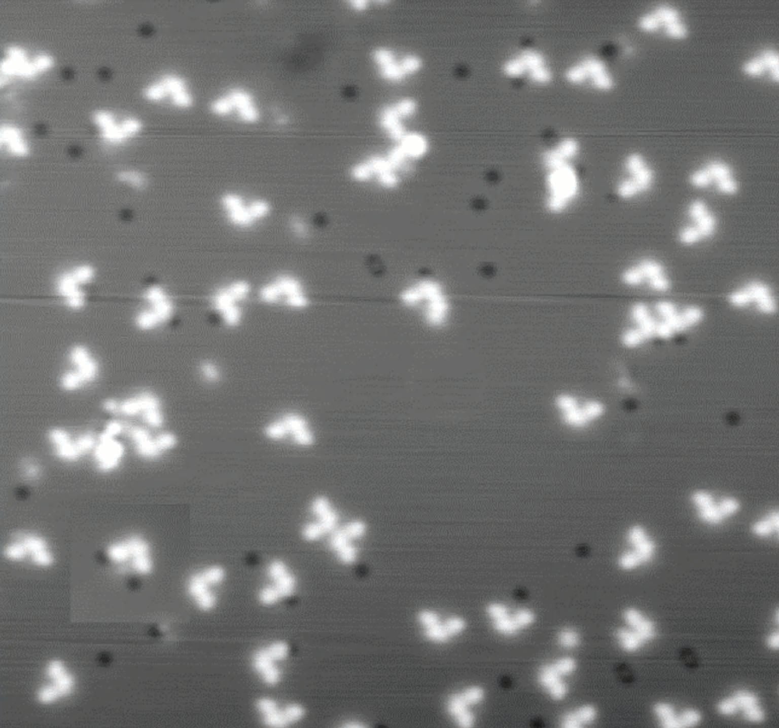 This Molecule Is a Nanoscale Bulldozer