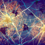 Could Blood Transfusions and Tissue Transplants Unfold Certain Dementias?