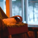 How Wintertime Affects Our Temper and Habits