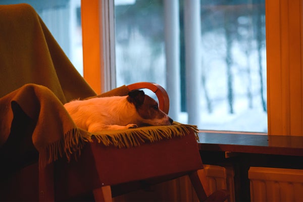 How Wintertime Affects Our Temper and Habits
