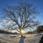 The Wintertime Solstice Has a Surprising Top secret