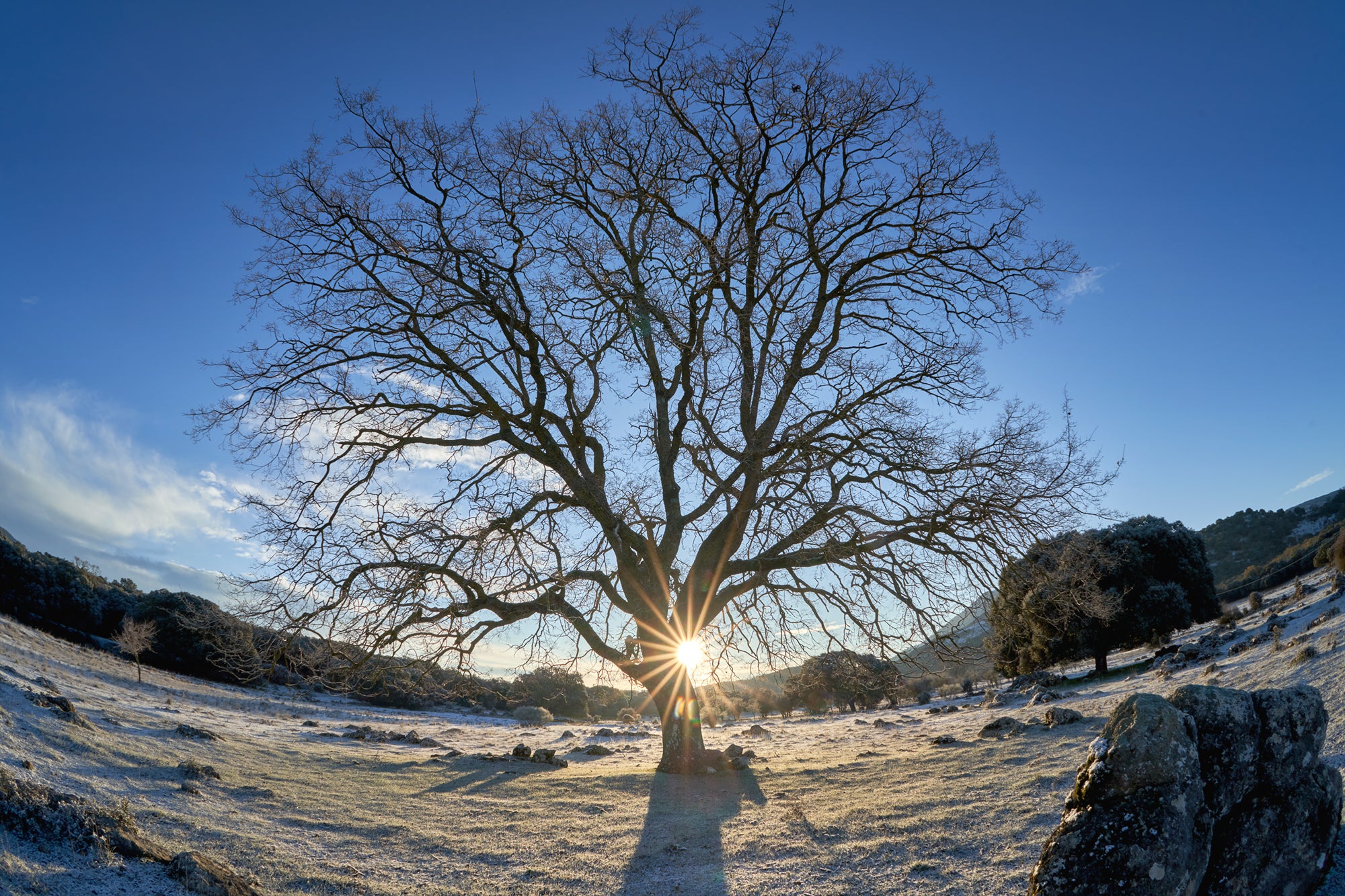 The Wintertime Solstice Has a Surprising Top secret