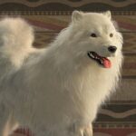Missing ‘Woolly Dog’ Genetics Spotlight Indigenous Science