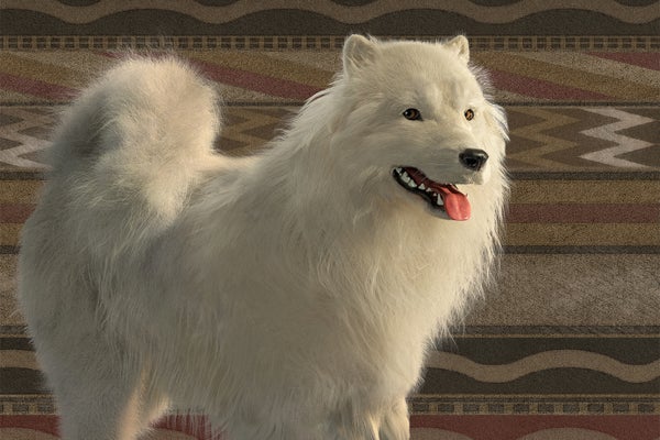 Missing ‘Woolly Dog’ Genetics Spotlight Indigenous Science