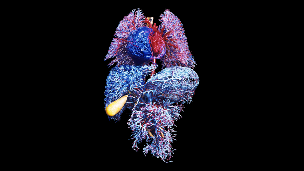 Your Organs May Be Aging at Distinct Fees