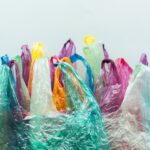 The Human Human body Is Bags, Luggage and Extra Luggage