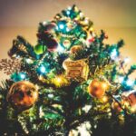 Christmas Tree Economics, Explained | Scientific American