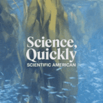 Turns Out Undersea Kelp Forests Are Important to Salmon