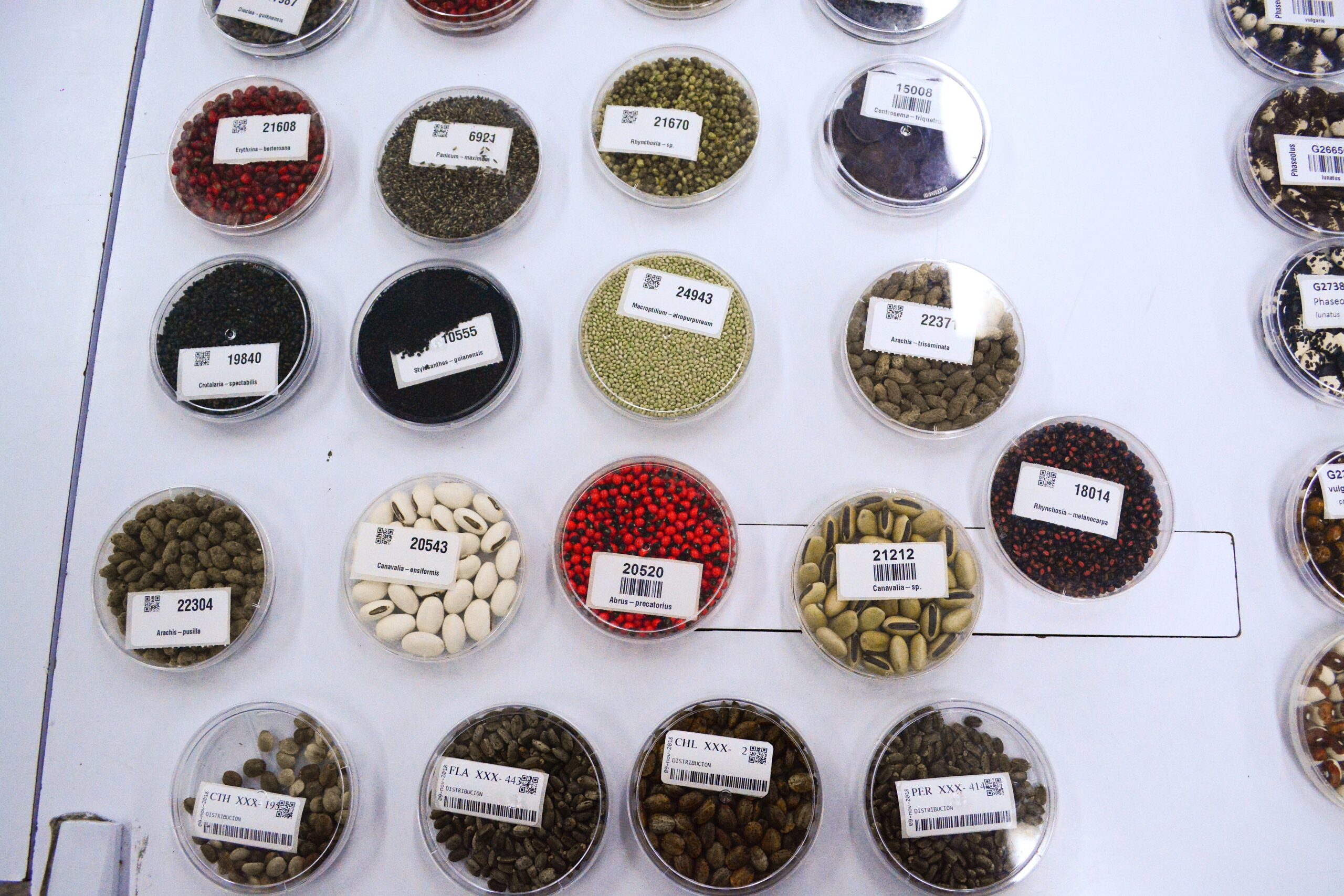 Adapting Crops for Severe Temperature
