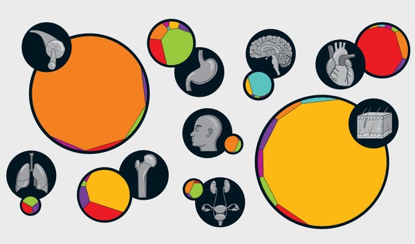 See Your Body’s Cells in Dimensions and Selection