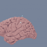 2023’s Brain-Bending Revelations in the Brain Sciences