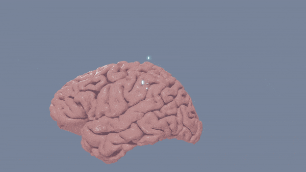 2023’s Brain-Bending Revelations in the Brain Sciences