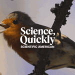 Talking to Animals using Artificial Intelligence