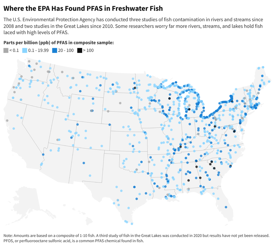 PFAS ‘Forever Chemicals’ Found in Freshwater Fish, Yet Most States Don’t Warn Residents