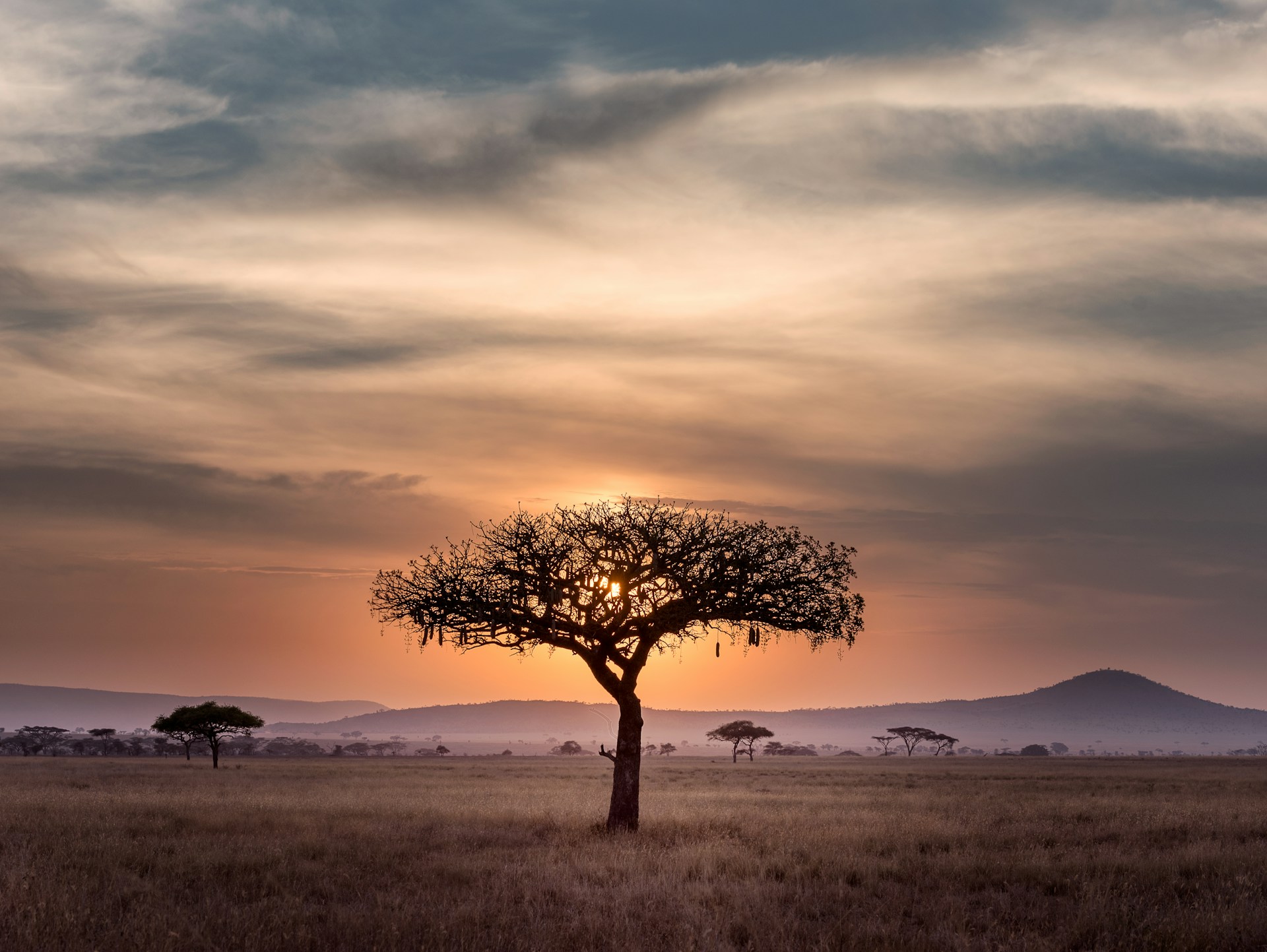 7 Locations for Your Up coming Family Excursion to Africa – In Your Pocket Journey Web site
