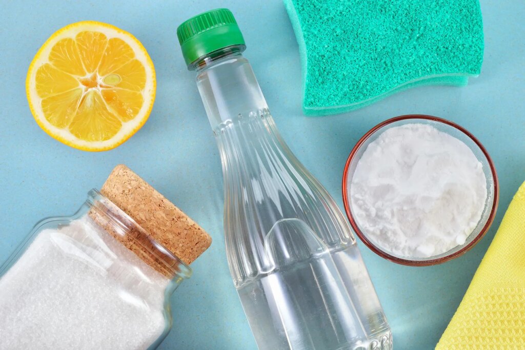 How to Make Your Dwelling a Greener, More healthy Area
