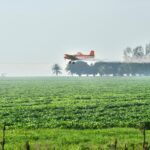 What Happens When You Deny Scientific Evidence? Search at Brazil’s Pesticide Trouble