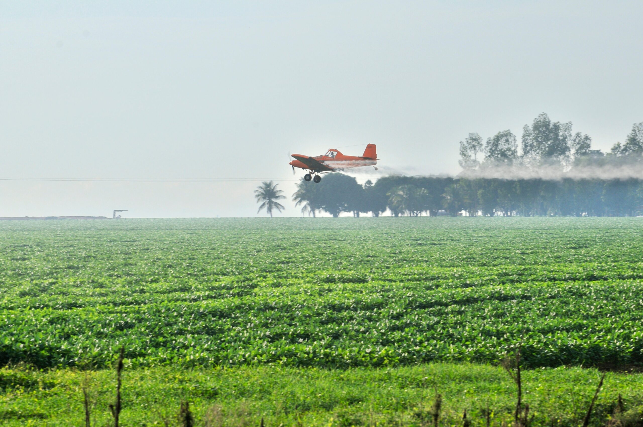 What Happens When You Deny Scientific Evidence? Search at Brazil’s Pesticide Trouble