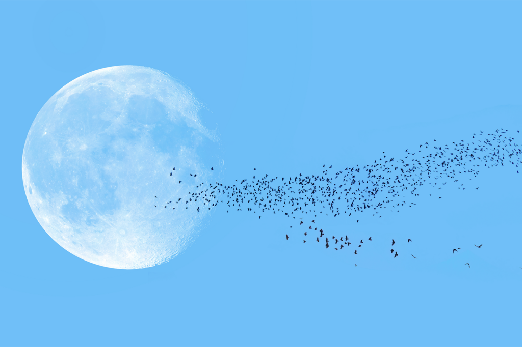 Human Remains Are Headed to the Moon, Despite Objections