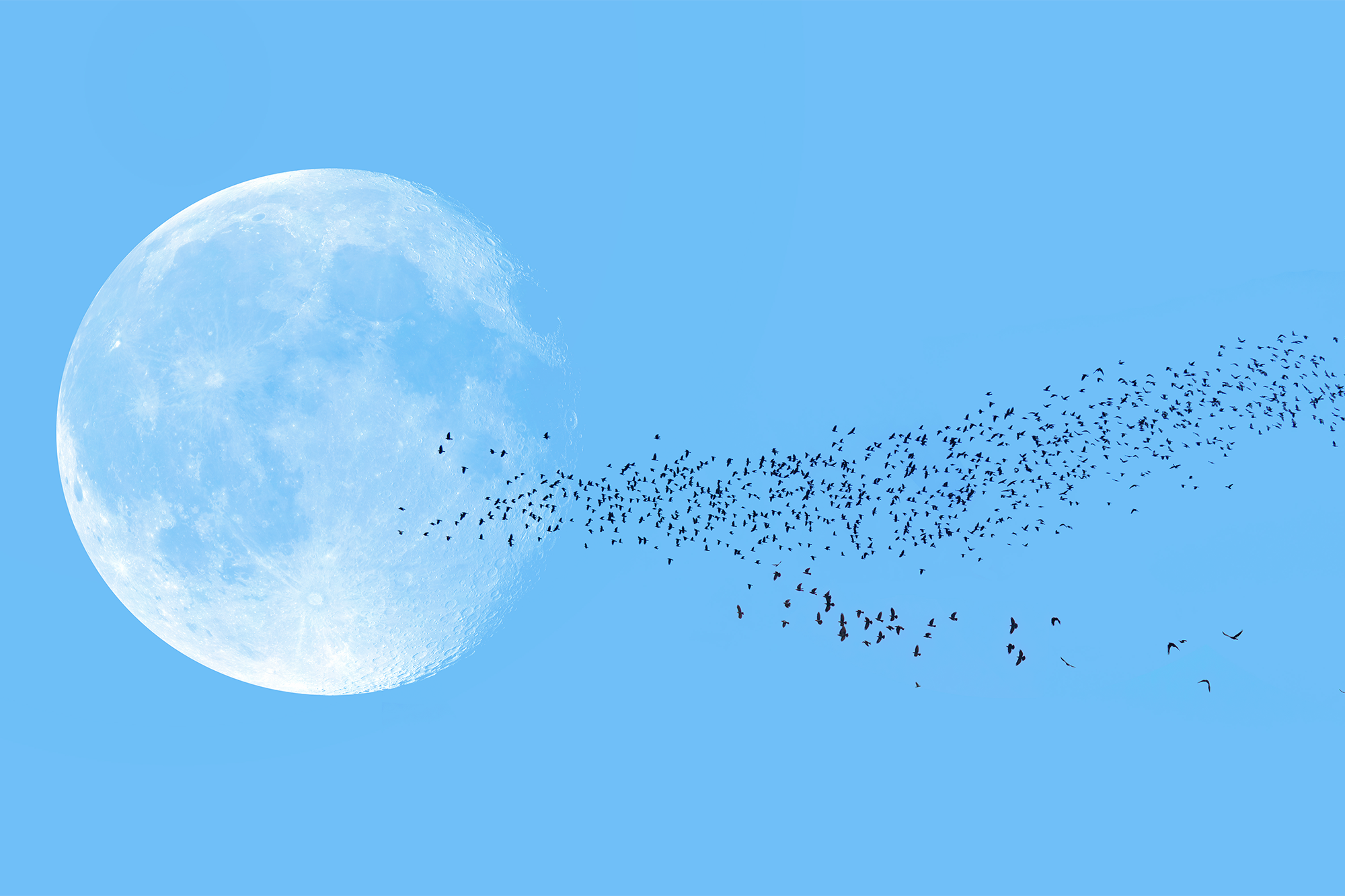 Human Remains Are Headed to the Moon, Despite Objections