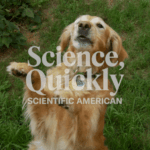 The Surprising Wellness Added benefits of Dog Possession